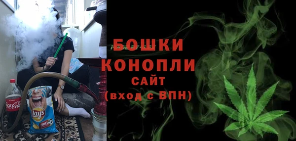 крисы Новокубанск