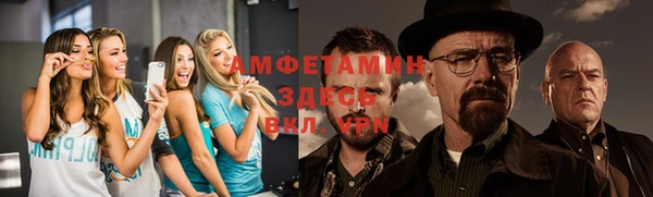 крисы Новокубанск