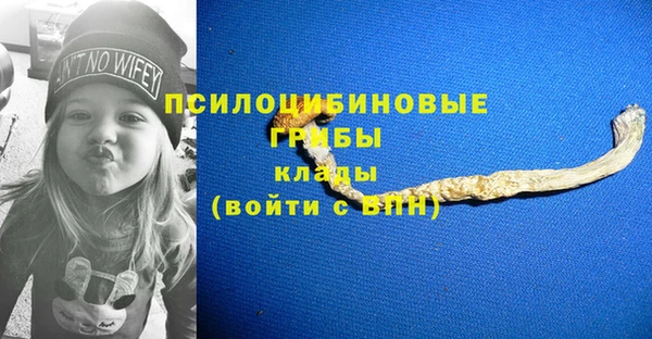 метадон Няндома