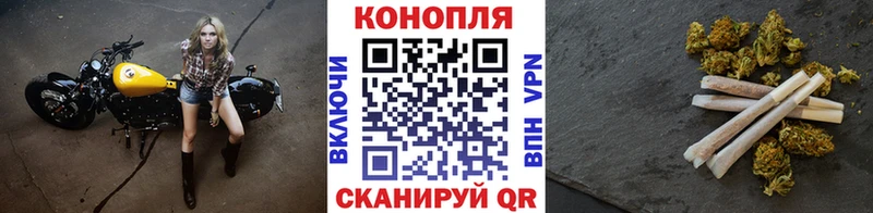 как найти наркотики  Краснослободск  Бошки Шишки THC 21% 